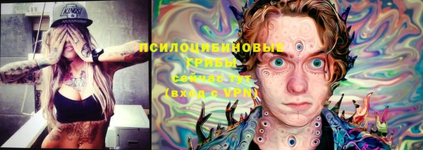 тгк Бугульма