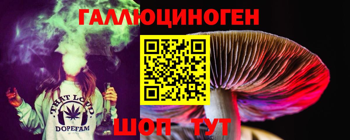 Псилоцибиновые грибы мицелий  Псилоцибиновые грибы Cubensis  Вход с VPN  Выборг 